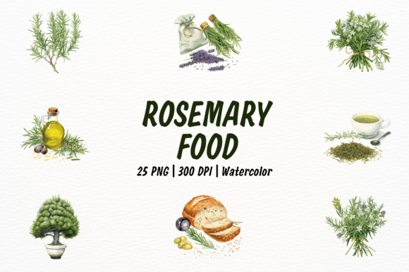 Vintage Pastel Rosemary Clipart & Illustrations